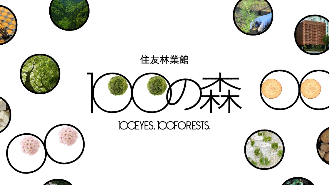 住友林業館「ひゃくの森」